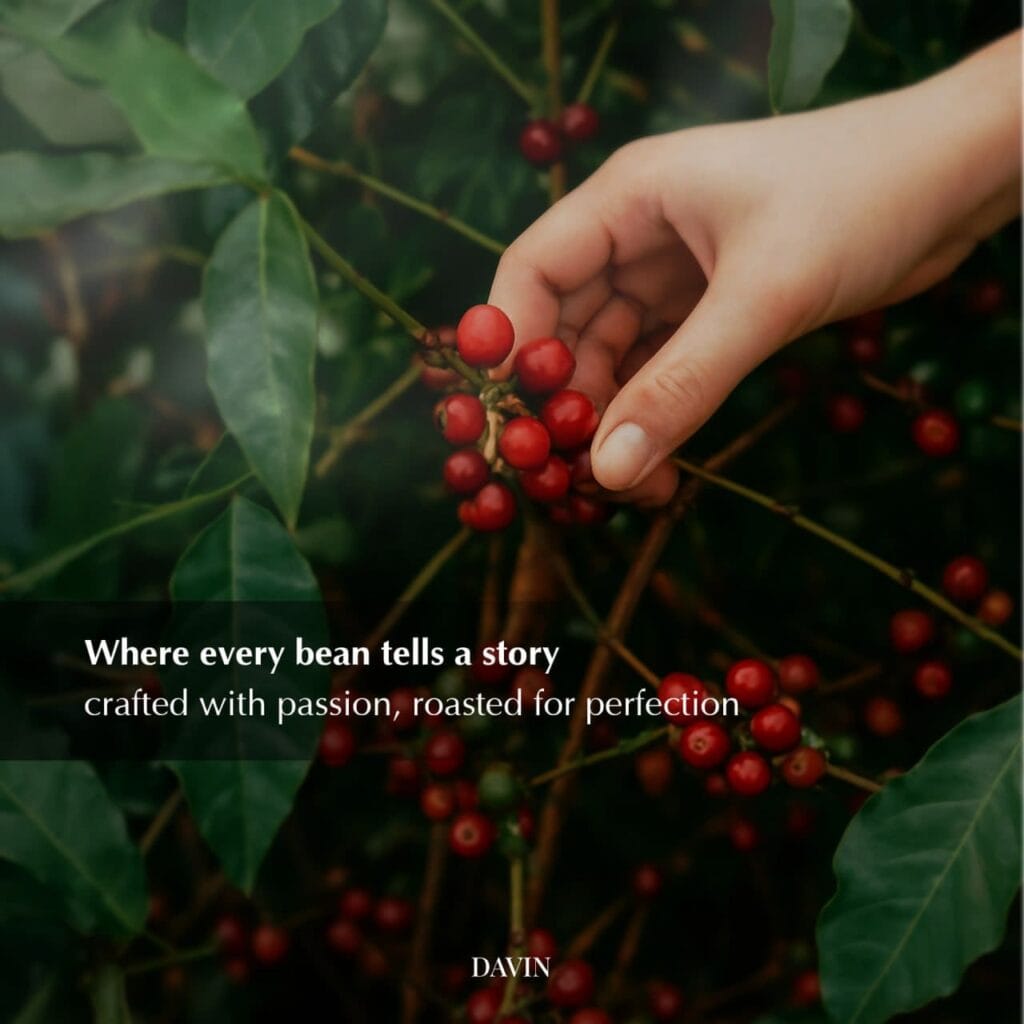 Close-up of ripe red coffee cherries on the branch with the Davin Cafe quote about passion and perfection, emphasizing the coffee's origin.
