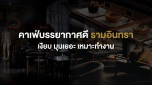 ภาพบรรยากาศภายในคาเฟ่บรรยากาศดี ย่านรามอินทรา ที่เงียบสงบ มีมุมนั่งหลากหลาย เหมาะสำหรับทำงาน ประชุม หรือใช้เวลาอย่างเป็นส่วนตัวใน Davin Cafe