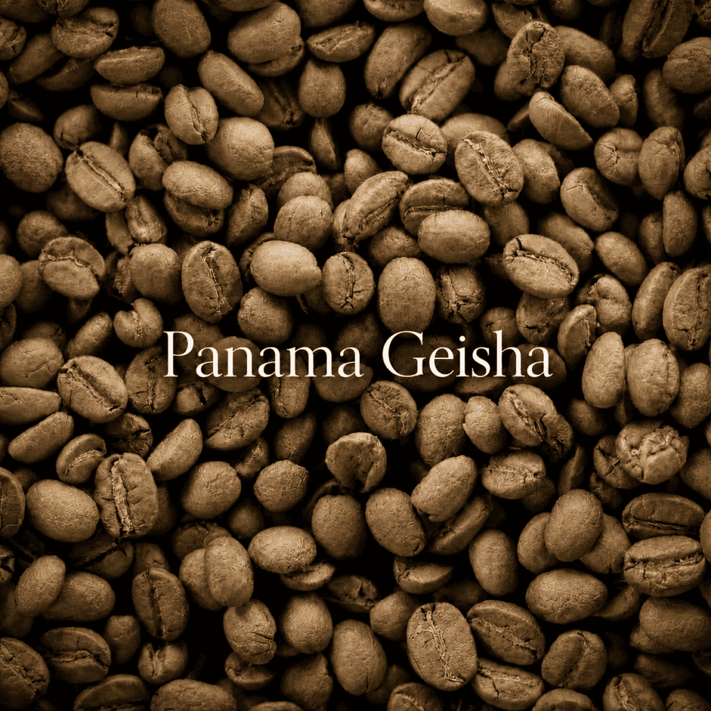 เมล็ด Panama Geisha กาแฟ Specialty ที่โดดเด่นด้านกลิ่นดอกไม้และโทนผลไม้ คัดสรรสำหรับ DAVIN CAFE